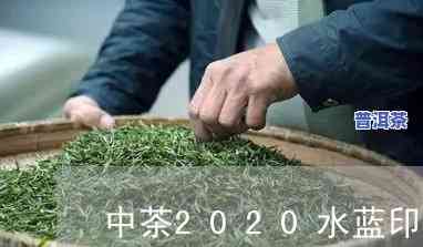 2020年水篮印普洱茶价格一览