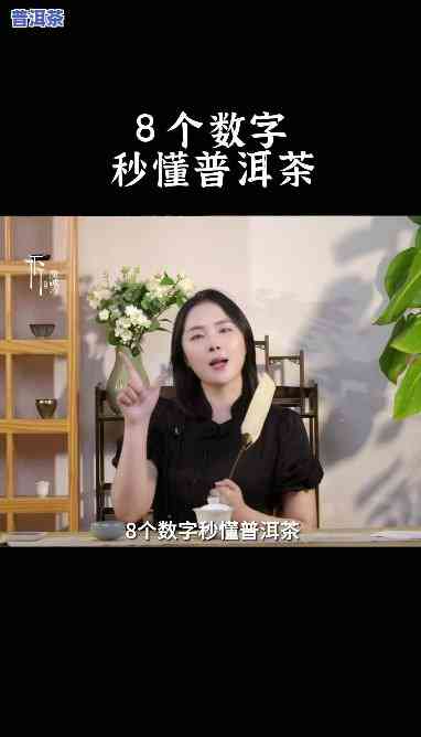 普洱茶中的数字是什么意思，解密普洱茶中的数字：它们代表什么含义？