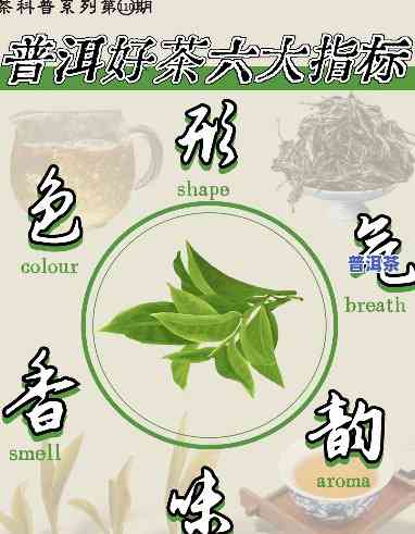 普洱茶no1是什么意思-普洱茶唛号等级