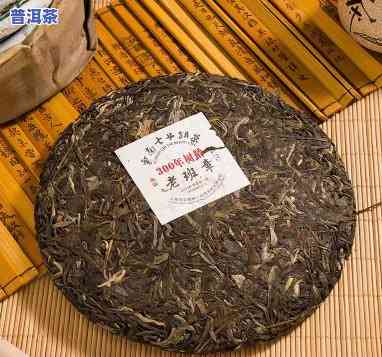 云南七子饼茶300年树龄老班章：探寻顶级普洱的魅力