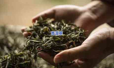 熟普洱茶用壶还是用盖碗-熟普洱茶用壶还是用盖碗好