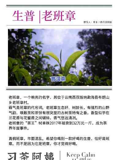 深入解析：老班章生茶口感及其特点