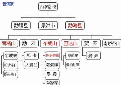 普洱茶属于哪个垂直品类的，探究普洱茶的垂直品类归属