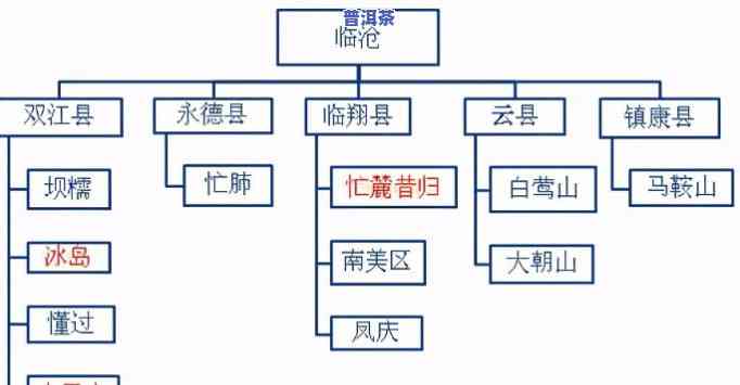 普洱茶属于哪个垂直品类的，探究普洱茶的垂直品类归属