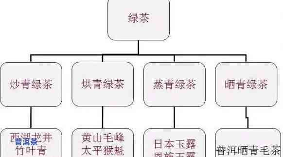 普洱茶属于哪类茶系，揭秘茶叶世界：普洱茶究竟属于哪种茶系？