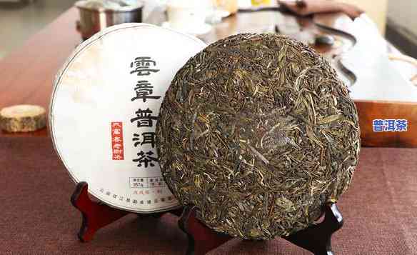 普洱云县大塞古树茶-云县大寨古树茶价格