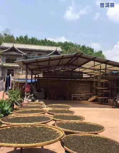 普洱茶厂生产的，品味普洱魅力：探索普洱茶厂生产的