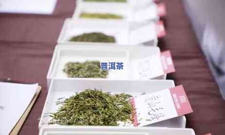 云南普洱茶三大茶区茶叶特点，探秘云南普洱茶三大茶区：特别茶叶特点解析