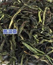 顶级普洱茶送爸爸可以吗？女生送长辈合适吗？普洱茶适合做礼物吗？