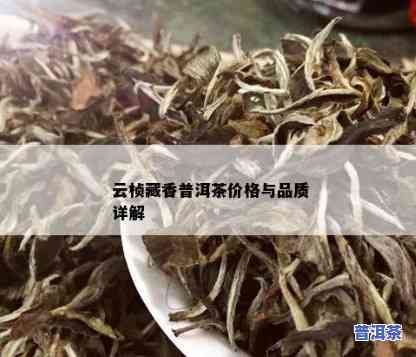 云南普洱芸桢号茗茶-云南云桢茶业怎么样