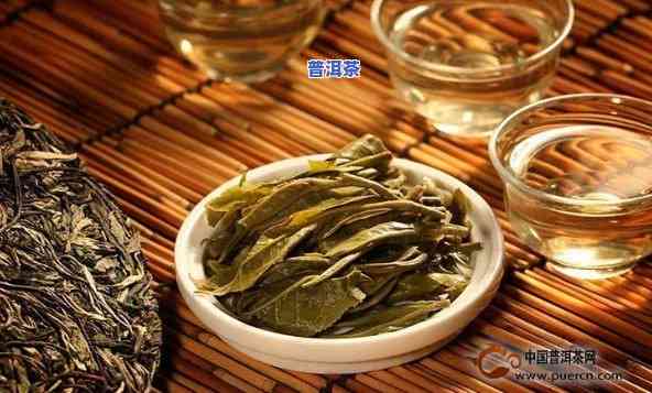 江西普洱茶哪家好些-江西普洱茶哪家好些呢