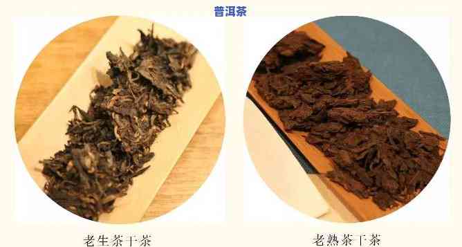 普洱茶新老茶怎么区分的-普洱茶新老茶怎么区分的呢