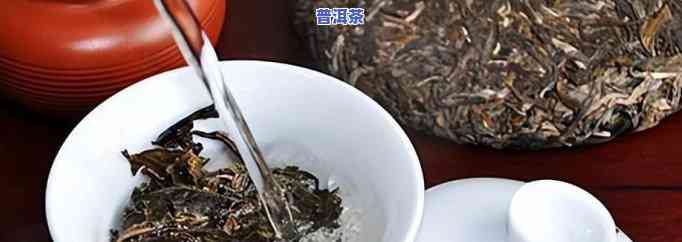 普洱小沱茶需不需要洗茶？正确的洗茶方法是什么？