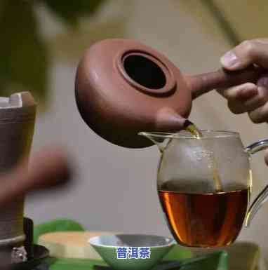 普洱茶能不能加肥料煮茶-普洱茶能不能加肥料煮茶喝