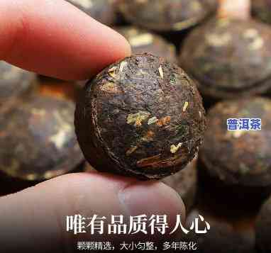 楼上普洱糯香小沱茶曝光：熟茶还是糯米香？