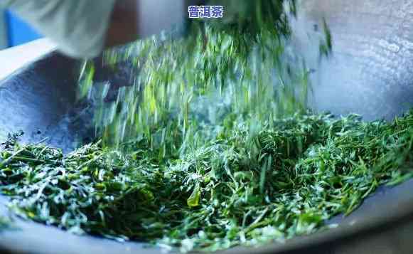 普洱茶和绿茶工艺一样吗，普洱茶与绿茶：制作工艺是不是相同？——上的讨论