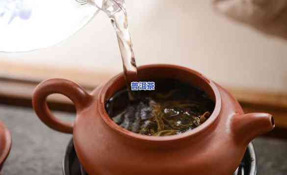 泡普洱茶用什么茶壶好？精选推荐帮你选出最适合的茶具