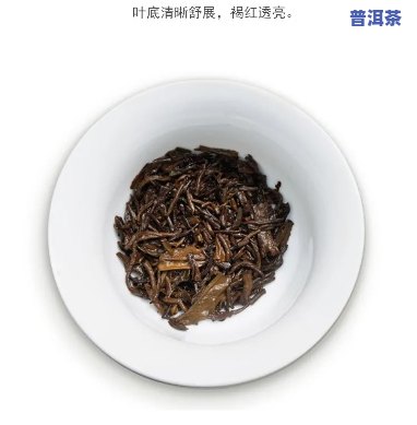 金针白莲普洱茶熟茶的好处，探索金针白莲普洱茶熟茶的健康益处