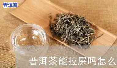 熟普洱茶喝多了会拉屎吗-熟普洱茶喝多了会拉屎吗