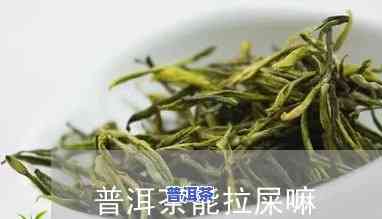 熟普洱茶喝多了会拉屎吗-熟普洱茶喝多了会拉屎吗