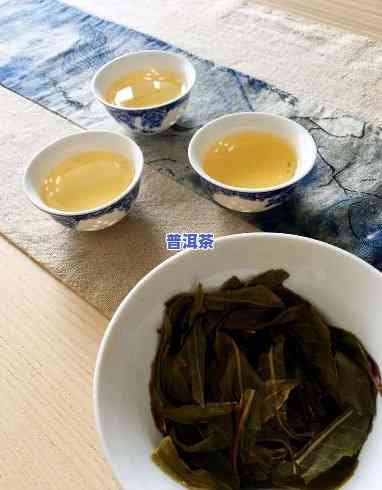 南方存普洱茶更好办法：环境、温度、湿度的掌控与存储技巧