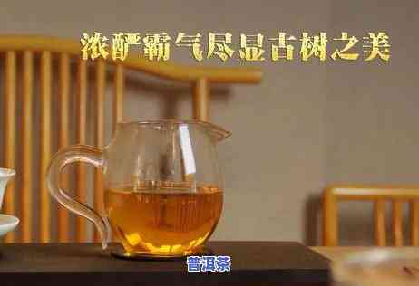 普洱茶每泡放多少水合适喝，怎样冲泡普洱茶：每泡所需水量的正确比例