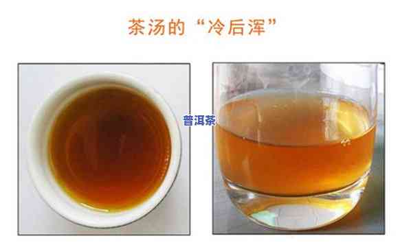 普洱茶泡出有棉绵絮状物-普洱茶泡出有棉绵絮状物正常吗