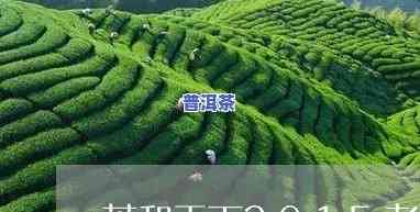 茶和天下2015老青砖价格，【茶与天下】2015年老青砖茶的价格解析