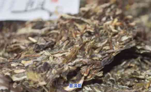 普洱茶能否太阳晒干保存-普洱茶能否太阳晒干保存呢