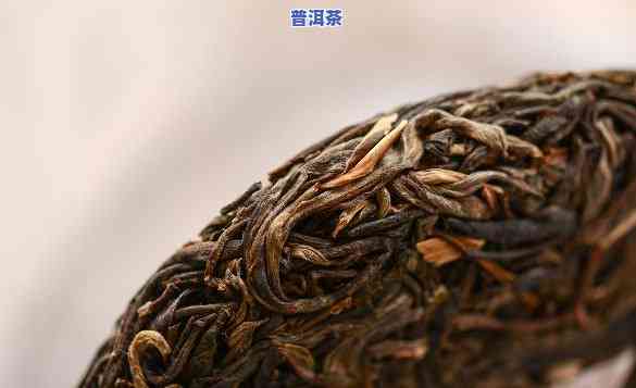 深圳老树普洱茶哪家好喝-深圳老树普洱茶哪家好喝一点