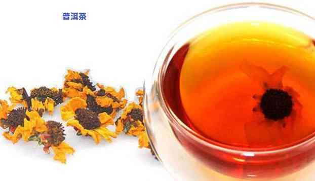 雪菊普洱茶图片大全大图-雪菊普洱茶图片大全大图高清