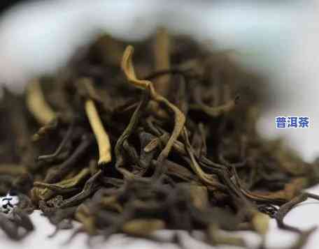 天方和普洱茶哪个好些呢，探讨天方和普洱茶的优劣，哪种更好？