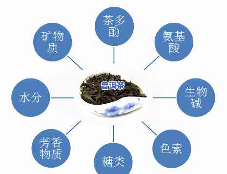 普洱茶抗衰老成分排名榜前十：揭秘其有效成分