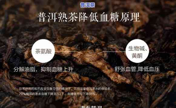 津乔普洱官网，探索高品质普洱茶的世界：津乔普洱官网