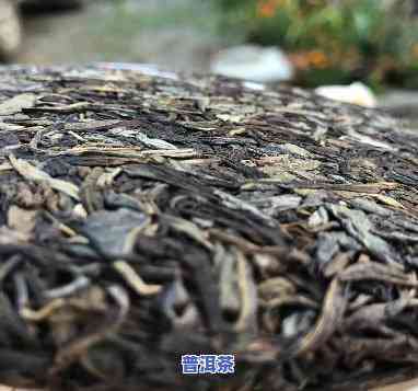 孟定普洱茶特点介绍词句-孟定普洱茶特点介绍词句子