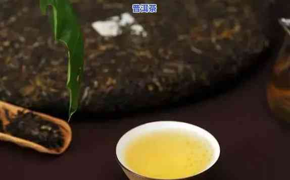 孟定普洱茶特点介绍词句-孟定普洱茶特点介绍词句子