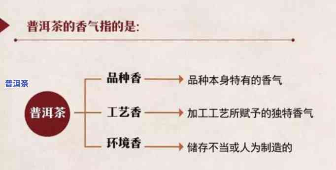 探究普洱茶茶香：种类与特点