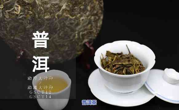 腾冲普洱茶代理电话多少-腾冲普洱茶代理电话多少号