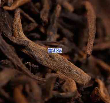 普洱茶金芽料的种类及其特点介绍