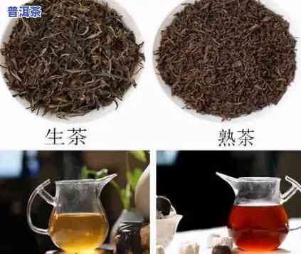 普洱茶金芽熟茶口感详解：怎样评价其味道与特点？