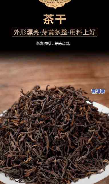 普洱茶金芽料有哪些种类-普洱茶金芽料有哪些种类的