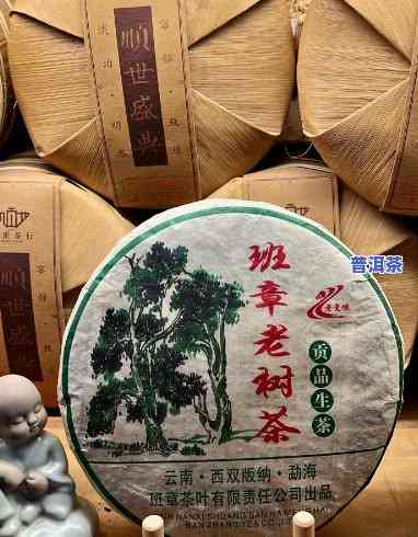 老班章古树茶鲜叶价格与功效全解析