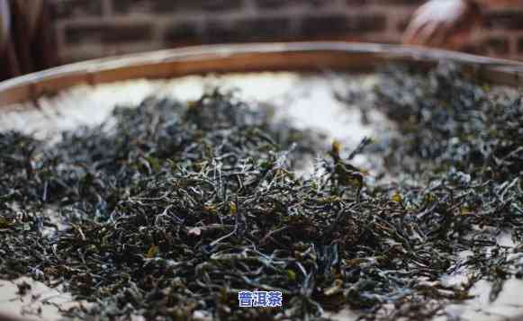 普洱茶需不需要密封保鲜-普洱茶需不需要密封保鲜保存