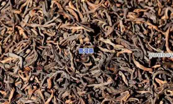 普洱茶需不需要密封保鲜-普洱茶需不需要密封保鲜保存