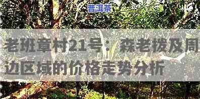 和森老班章村21号-和森老班章村21号价格