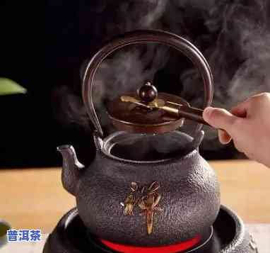 煮普洱茶铁壶多少克好喝-煮普洱茶铁壶多少克好喝一点