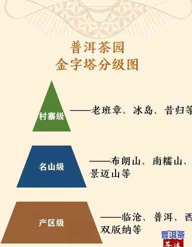 普洱茶怎样分级,等级高低有什么区别，普洱茶的分级标准及其等级差异解析