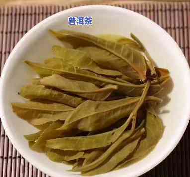 老班章投茶量，怎样控制老班章投茶量？