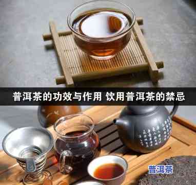 青普洱茶的功效与作用禁忌的功效与作用，探秘青普洱茶：功效、作用与禁忌全解析