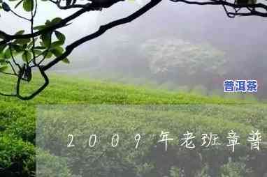 老班章09年价格表-2009年老班章价格